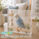 セキセイインコ ガラスブロック 愛鳥 オカメインコ 動物 メモリアルプレート メモリアルグッズ おしゃれ 高級 飼い主 ペットグッズ ペット仏壇 メモリアル フォトキューブ 肉球 うちの子 記念日 写真立て 記念 名入れ 愛猫家 うちの子記念日 ディスプレイ ペット 小鳥 サプライズ 誕生日 オーダーメイド ギフト ペット写真 記念品 メモリアルフォトフレーム 虹の橋 クリスタル 感謝【c01】