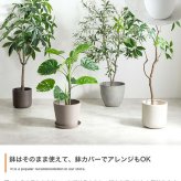 【高さ200cm】光触媒人工観葉植物 パキラ 曲がり 幅55cm×奥行50cm×高さ200cm オフィス 天然木 組立品 お部屋に気軽に飾れて空間を美しく彩るフェイクグリーン 本物の植物のようなリアルな質感とインテリアに馴染む風合いが魅力です