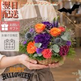【ハロウィンカラーのアレンジメント】秋限定　ハロウィン 即日発送　レビューを書いて送料無料　生花 アレンジメント 誕生日に 花はおまかせ　ラウンドタイプ 生花 アレンジ　ブーケ プレゼント 父の日 誕生日 結婚祝い 記念日 お見舞 送別 新築祝い 母の日 敬老の日 ウエディング テーブル装花 御祝 出産 ホワイトデー お供え お中元 お歳暮