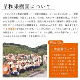 敬老の日 誕生日 5000円 ギフト ジュース ゼリー ジュレ ストレート 和歌山 早和果樹園 有田 和歌山 みかん 飲むみかんとジュレまるごと入ギフト C6-B9 プレゼント 