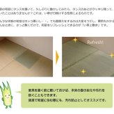 夏ラグ 夏用カーペット フリーカット い草 上敷き カーペット 『F不知火』 本間8畳(約382×382cm）(裏:ウレタン張り）