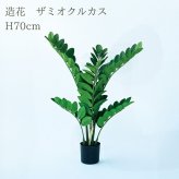 観葉植物 造花 ザミオクルカス BROWN 全高約70cm 卓上・小型 フェイクグリーン 本物そっくり おしゃれ インテリア 人工観葉植物 アーティフィシャルグリーン オフィス 店舗 ホテル 開店祝い 室内 ミニ ザミフォーリア 多肉 フェイク