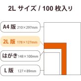 エレコム EJK-TVL2L100 写真用光沢紙 バリュー 薄手 2L判 100枚 EJKTVL2L100