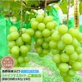 長野県産 ぶどう シャインマスカット 訳あり ご自宅用 果物 フルーツ お取り寄せ 産地直送 【送料無料(一部地域除く)】