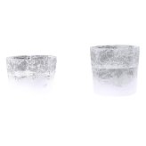 【結霜月華】一対来徳 華雪 220ml
