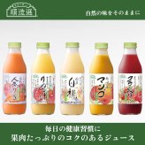 「身体に優しい」順造選ジュース500ｍｌ　人気の5種類５本おすすめセット
