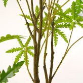 観葉植物 造花 アラレア BROWN 全高約155cm 大型 フェイクグリーン 本物そっくり おしゃれ インテリア 人工観葉植物 アーティフィシャルグリーン オフィス 店舗 ホテル 開店祝い 室内 ディジゴセカ フェイク