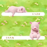 【5種類セット】 ガチャ ガチャガチャ コンプリート 中身 フィギュア おもちゃ かわいい [ ふちやすみ こぶた ] 動物 子ブタ 子豚 豚