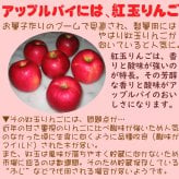 紅玉りんごのアップルパイ 【誕生日 バースデー 人気アップルパイ バースデーケーキ 誕生日ギフト 昔ながらの甘酸っぱ〜いアップルパイ バレンタインデー ホワイトデー 母の日 父の日 クリスマス クリスマスケーキ】
