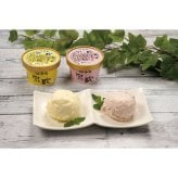 乳蔵 アイスと木苺プリン (120047) [お中元][お歳暮] ※送料無料(北海道・沖縄・離島への配送不可)