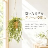 CT触媒 フェイクグリーン ハンギング 通販 キシマ アーティフィシャルグリーン 観葉植物 フェイク グリーン 吊り下げ バスケット 壁掛け 人工観葉植物 消臭 ハンギングバスケット 小さめ 小型 おしゃれ リビング リアル kishima 造花 インテリア