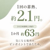 湯たんぽ 充電式 蓄熱式 かわいい 猫 アニマル ぬいぐるみ 繰り返し使える 節電 省エネ 長時間保温 防寒グッズ 電気湯たんぽ 電気あんか 急速充電 コードレス  ギフト プレゼント ひつじ うさぎ ハリネズミ フクロウ