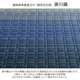 敷物 花ござ 国産 純国産 日本製 い草 掛川織 モダン 抗菌防臭 自然素材 江戸間3畳 約174×261cm