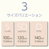 オールシーズン 快適睡眠 パッド 洗える アレルプルーフ 抗菌 消臭 アレル物質吸着 洗濯機OK 四隅ゴムバンド付き ズレにくい シングル 100×200cm