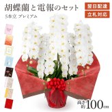 【送料無料】 大輪胡蝶蘭 ５本立 プレミアム 白【70輪以上】 電報セット可能 フラワー 花 祝電 お祝い ギフト プレゼント 結婚式 結婚祝い 結婚記念日 誕生日 還暦 長寿祝い 記念日 事務所移転 開店 開業祝い 昇進 栄転 就任祝い 定年退職 周年祝い 創立記念 ビジネス 叙勲 受章祝い 孫の日 七五三 いい夫婦の日 クリスマス 成人式 成人祝い 年賀 お正月 翌日配達