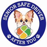カーサイン 高齢者マーク SENIOR SAFE DRIVER パピチワ ステッカー シール 直径13cm 肉球 日本製 車