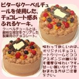 クリスマスフルーツチョコレートケーキ【４～７号】クリスマスケーキ チョコケーキ チョコデコ