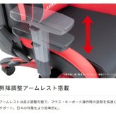 チェア 椅子 AKRacing(エーケーレーシング) OVERTURE ONEPIECE(ワンピースコラボ) ゲーミング アームレスト ヘッドレスト ランバーサポート オフィスチ