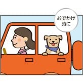 キンペックス KINPEX ふきとりワン ペットボディタオル