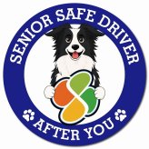 カーサイン 高齢者マーク SENIOR SAFE DRIVER ボーダーコリー マグネット 強力 直径13cm 肉球 日本製 車 ステッカー