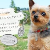 ハワイアンジュエリー ネックレス スクロール シルバー ネックレス 刻印 無料 誕生石入れ可 オーバル 楕円 プレート シンプル シルバー925 ギフトラッピング可能 メダル メンズ レディース プレゼント ハロウィン 【品番：CG-SP2917】