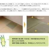 夏ラグ 夏用カーペット フリーカット い草 上敷き カーペット 『F不知火』 江戸間1畳(約88×176cm）(裏:ウレタン張り）