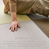 水拭きできる い草風 置き畳 綾模様 約65×65×2.5cm 1枚 半畳 縁なし フロア畳 ユニット畳 PP 滑り止め付き