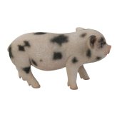 置物 豚 グロスターオールドスポット 幅22.5cm woobia ウービア ぶた リアル かわいい おしゃれ 玄関 インテリア オブジェ ガーデン ミニブタ 動物 アニマル 癒し 棚 個性的 プレゼント ギフト 面白い 新築祝い