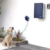 【送料無料】 リードフック キャストタイプ フットプリント 肉球 カラフルでオシャレ 屋外 屋内 玄関 庭 小型犬 中型犬 大型犬