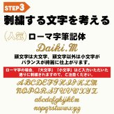 ネーム刺繍入 ソルブ バット袋 無地タイプ slvbf-setsisyu 卒団記念品 野球 ソフトボール 名入れ
