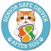 カーサイン 高齢者マーク SENIOR SAFE DRIVER エキゾチックショートヘア マグネット 強力 直径13cm 肉球 日本製 車 ステッカー