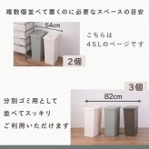 ゴミ箱 おしゃれ 45リットル 45L 分別 スリム スライドペール ふた付き  LFS-763 袋止め キャスター ダストボックス シンプル かわいい キレイ 縦型 縦 臭わない キッチン 寝室 洗面所 台所 リビング ファミリー インテリア 東谷