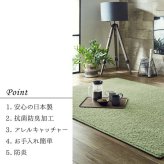 ラグ カーペット 日本 抗菌 消臭 清潔 オーダー 防炎 アレルキャッチャー 抗アレル物質 ダニ対策 シャギー 無地 約3.2畳 約200×250cm