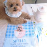 ペットのお写真で作るスイートカフェ ハンドタオル(ハンカチ)｜うちの子の写真で作るミニタオル 犬 猫 名入れ プチギフト【送料無料】ハンカチ ギフト お誕生日 母の日 父の日 敬老の日 還暦祝い クリスマスプレゼント