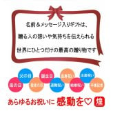 【名入れ可能】名入れ グラス サーモス THERMOS 真空断熱ステンレスタンブラー 420ml【母の日 父の日 ギフト ビール 焼酎 酒 食器 卒業祝い 誕生日プレゼント 女性 男性 30代 40代 60代 還暦祝い 退職祝い 転勤 お礼 古希 喜寿 傘寿 米寿祝い 赤 紫 新築祝い 内祝い 贈り物 】JDE-421C