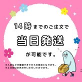 名探偵コナン 新一&蘭 スクエアメモ 文具 メモ帳  ピンク グッズ  (MCOR)