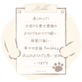 ひげ専用ケース『mikke』小物入れ 猫 ギフト プレゼント 日本製