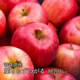 青森県産 葉とらずりんご つがる ご贈答用約3kg 最適 産地直送 同梱不可 りんご 林檎
