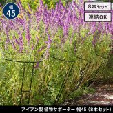 アイアン製植物サポーター 幅45 8本セット IF-N0047-8P奥行23 高さ85 ハーフリング 倒れ防止 広がり抑制 スチール 鉄製 支柱 園芸 植物サポート フラワーサポート 菜園 花壇