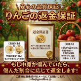 青森県産　りんご　弘前ふじ　早生ふじ　訳あり　選べる5kg　送料無料！　大きさ普通バラ詰め / クール便