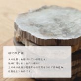 amabro アマブロ WOOD COASTER ウッドコースター 木のコースター 木製コースター 木製 珪化木 村上美術 コースター プレート