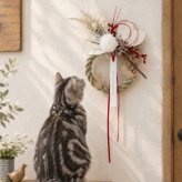 しめ縄 お正月飾り 犬 猫 犬猫 犬好き 猫好き ペット かわいい おしゃれ ナチュラル 玄関飾り正月飾り しめ飾り お正月 モダン しめなわ