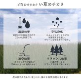 敷物 花ござ 国産 純国産 日本製 い草 掛川織 モダン 抗菌防臭 自然素材 江戸間3畳 約174×261cm