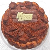 クリスマスチョコレートアイスケーキ【4～7号】 [クリスマスケーキ アイスクリームケーキ クリスマスチョコ チョコケーキ]