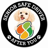 カーサイン 高齢者マーク SENIOR SAFE DRIVER ミディアムプードル マグネット 強力 直径13cm 肉球 日本製 車 ステッカー