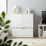 推し活 棚 推し活収納 キャビネット チェスト ラック 収納 推し 飾る 大容量 スリム 薄型 コンパクト 省スペース 扉付き 可動 ワゴン 仕切り キャスター リビング 隠す収納 隠せる 一人暮らし ワンルーム 本