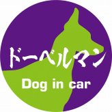 Dog in car ドッグインカー ステッカー カーステッカー ドーベルマン 毛筆書体 パープルグリーン シール 煽り運転対策 カーサイン