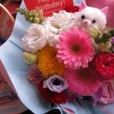 結婚記念日 ネコ ねこ 猫入り フラワーアレンジメント 誕生日 デザイナーにおまかせ 生花使用 