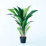 観葉植物 造花 アスプレニウム BROWN 全高約90cm 中型 フェイクグリーン 本物そっくり おしゃれ インテリア 人工観葉植物 アーティフィシャルグリーン オフィス 店舗 ホテル 開店祝い 室内 タニワタリ シダ フェイク