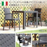 ガーデンチェア2脚セット ガーデン肘付チェア 2脚セット ステラ-STELLA- ガーデン カフェ 屋外椅子 アウトドアチェア テラスチェア ガーデンファニチャー 庭用椅子 ベランダチェア ガーデン椅子2脚 テラス家具 イス ブラック エクステリア 座面 新生活